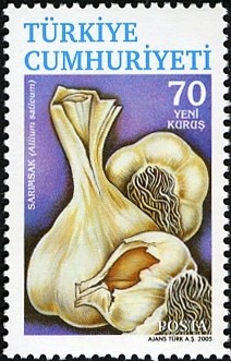 Colnect-957-125-Allium-sativum-Garlic.jpg