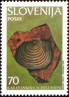 Colnect-683-964-Fossils---Karavankina-schellwieni-.jpg