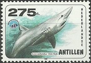 Colnect-964-806-Shortfin-Mako-Shark-Isurus-oxyrinchus.jpg