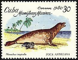Colnect-660-320-Caribban-Monk-Seal-Monachus-tropicalis.jpg