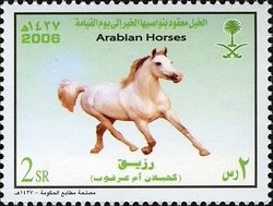 Colnect-1729-699-Arabian-Horse-%E2%80%9EKahilan-om-Arqoob%E2%80%9C-Equus-ferus-caballus.jpg