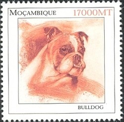 Colnect-1486-329-English-Bulldog-Canis-lupus-familiaris.jpg