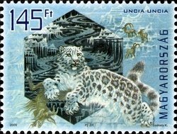 Colnect-500-593-Snow-Leopard-Uncia-uncia.jpg