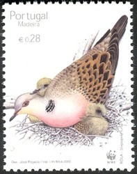 Colnect-546-288-European-Turtle-Dove-Streptopelia-turtur.jpg