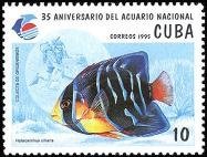 Colnect-1680-425-Queen-Angelfish-Holocanthus-ciliaris.jpg