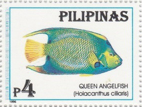 Colnect-3001-725-Queen-Angelfish-Holacanthus-ciliaris.jpg