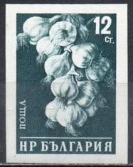 Colnect-1644-642-Garlic-Allium-sativum.jpg