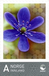 Colnect-511-271-Personalised-stamp---Hepatica.jpg