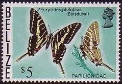 Colnect-455-123-Dark-Zebra-Swallowtail-Eurytides-philolaus.jpg