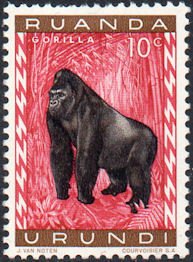 Colnect-964-490-Gorilla-Gorilla-gorilla.jpg