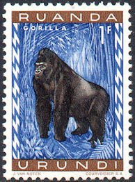 Colnect-964-494-Gorilla-Gorilla-gorilla.jpg
