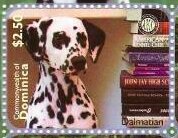 Colnect-6017-939-Dalmatian-and-Books.jpg