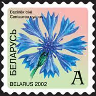 Colnect-1058-241-Corn-flower-Centaurea-cyanus.jpg