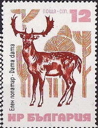 Colnect-1694-429-Fallow-Deer-Dama-dama.jpg