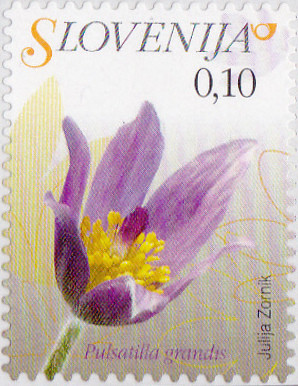 Colnect-3011-576-Flowers-of-Slovenia---Pulsatilla-grandis.jpg