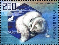 Colnect-500-600-Arctic-Fox-Alopex-lagopus---iridescent.jpg