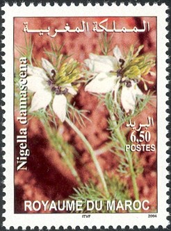 Colnect-617-463-Moroccan-flora---Nigella-damascena.jpg