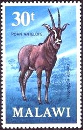 Colnect-864-310-Roan-Antelope-Hippotragus-equinus.jpg
