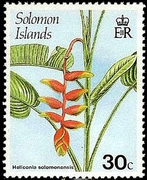 Heliconia-solomonensis.jpg