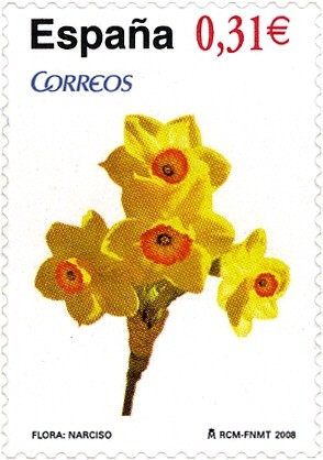 Colnect-577-127-Wild-daffodil-Narcissus-pseudonarcissus.jpg