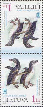 Colnect-1068-843-Magellan-penguin.jpg