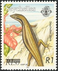 Colnect-1705-012-Seychelles-Mabuya-Mabuya-seychellensis.jpg