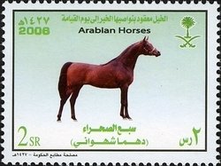 Colnect-1729-694-Arabian-Horse-%E2%80%9EDahma-Shahwni%E2%80%9C--Equus-ferus-caballus.jpg