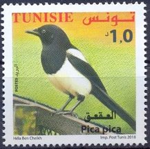 Colnect-5441-913-Magpie-Pica-pica.jpg