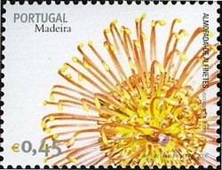 Colnect-546-326-Madeira-Flowers.jpg