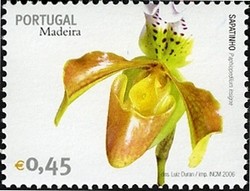 Colnect-546-327-Madeira-Flowers.jpg