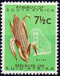 Colnect-769-075-Maize-Zea-mays.jpg
