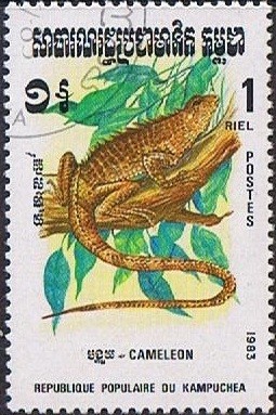 Colnect-1230-460-Chameleon-Chamaeleo-sp.jpg