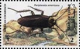 Colnect-3478-610-American-cockroach.jpg