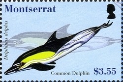 Colnect-1524-014-Short-beaked-Common-Dolphin-Delphinus-delphis.jpg