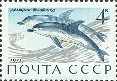 Colnect-918-308-Short-beaked-Common-Dolphin-Delphinus-delphis.jpg