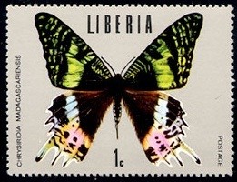 Colnect-1259-341-Madagascan-Sunset-Moth-Chrysiridia-madagascariensis.jpg