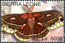 Colnect-1683-082-Cecropia-Moth-Hyalophora-cecropia.jpg