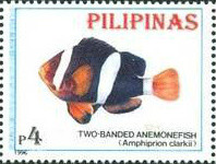 Colnect-3001-790-Two-banded-Anemonefish-Amphiprion-bicinctus-.jpg