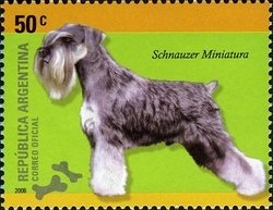 Colnect-1261-499-Miniature-Schnauzer-Canis-lupus-familiaris.jpg