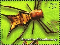 Colnect-1591-488-Micrathena-Spider-Micrathena-sp.jpg