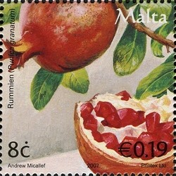 Colnect-657-676-Pomegranates-Punica-granatum.jpg