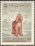 Colnect-1049-666-Afghan-Hound-Canis-lupus-familiaris.jpg