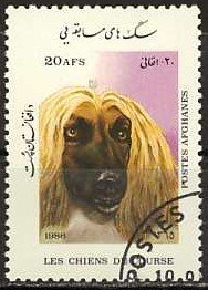 Colnect-1186-493-Afghan-Hound-Canis-lupus-familiaris.jpg
