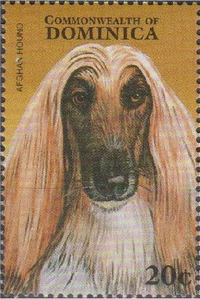 Colnect-3214-377-Afghan-Hound-Canis-lupus-familiaris.jpg