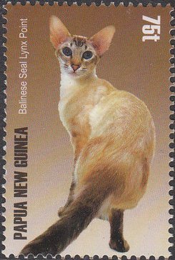 Colnect-4215-340-Balinese-seal-lynx-point.jpg