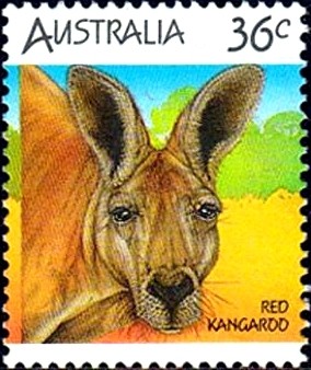 Colnect-1093-914-Red-Kangaroo-Macropus-rufus.jpg