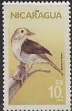 Colnect-1340-611-Common-Nightingale-Erithacus-megarhynchos.jpg