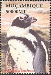 Colnect-1486-323-African-Penguin-Spheniscus-demersus.jpg