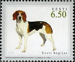 Colnect-420-620-Estonian-Hunting-Dog-Canis-lupus-familiaris.jpg