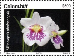 Colnect-1701-350-Miltoniopsis-phalaenopsis.jpg